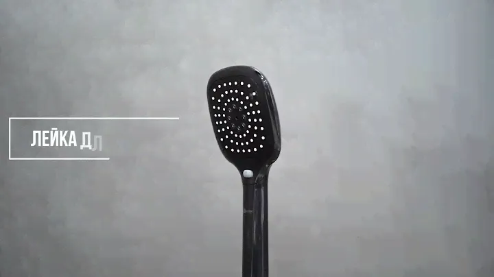 Душевая лейка LEMARK LM1013Black
